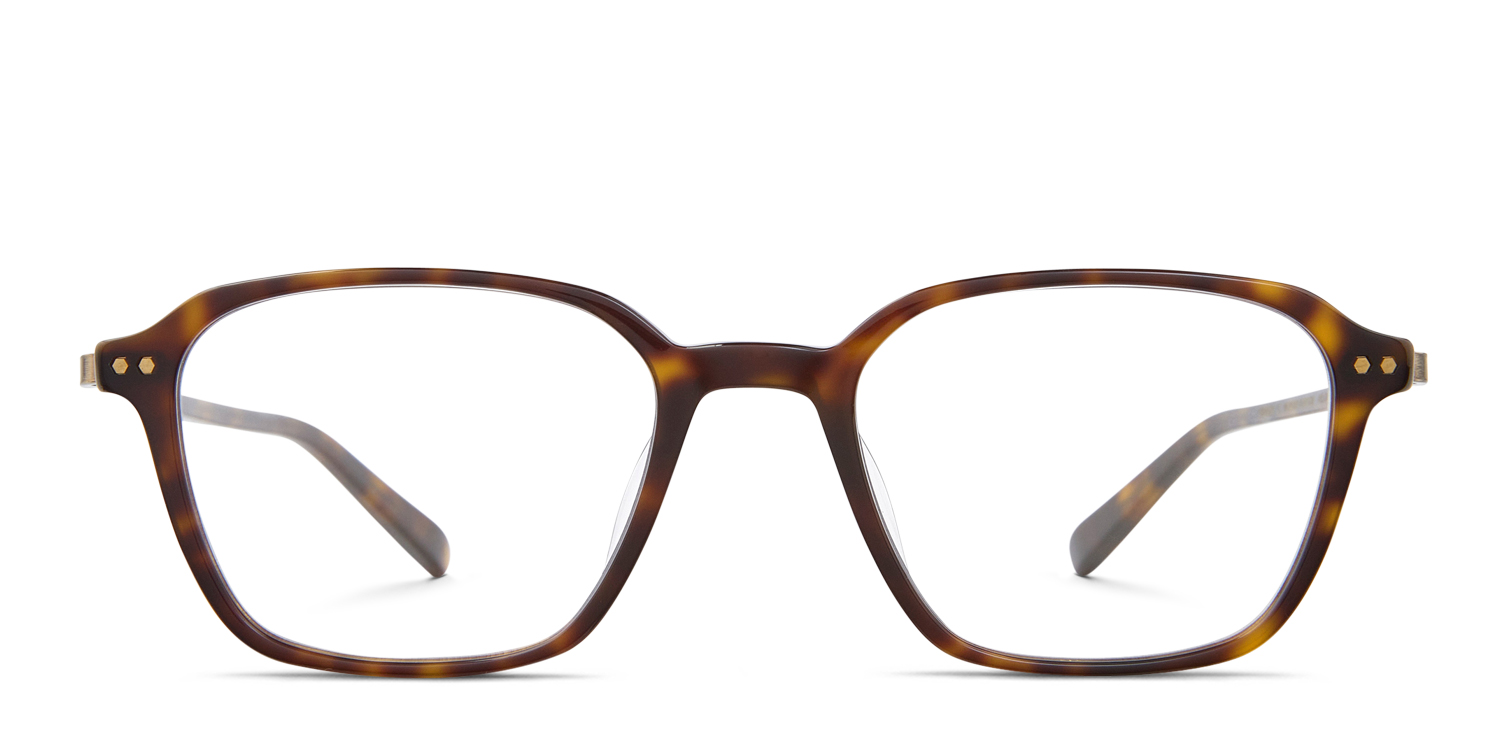 Mr Leight Gideon C Tortoise